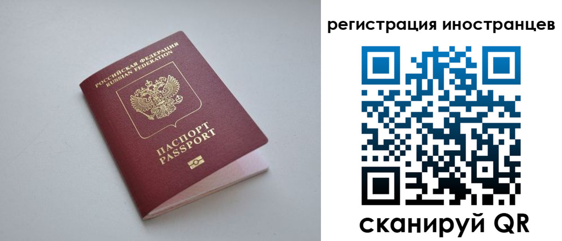 прописка гарантия в Кузнецке